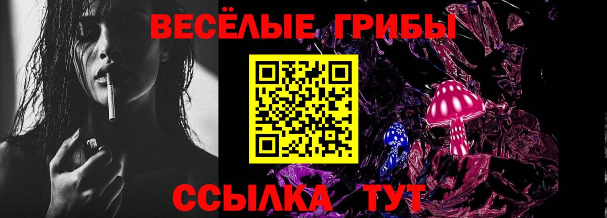 Киржач  Галлюциногенные грибы Magic Shrooms  Псилоцибиновые грибы ЛСД  Вход с VPN 